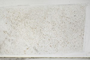Plane Polarized, S67182