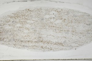 Plane Polarized, S67184