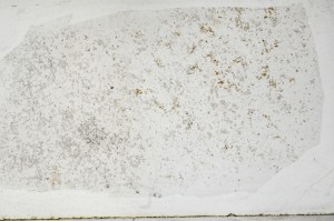 Plane Polarized, S67186