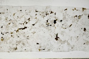 Plane Polarized, S67195