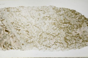 Plane Polarized, S67197