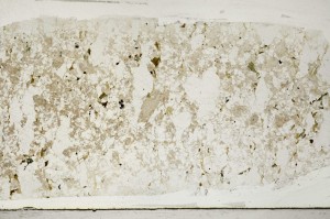 Plane Polarized, S67202