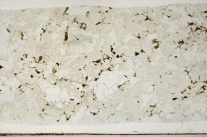 Plane Polarized, S67207