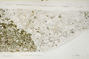 Plane Polarized, S67212