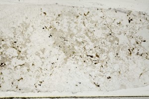 Plane Polarized, S67213