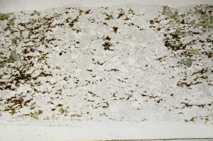 Plane Polarized, S67218