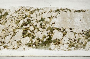 Plane Polarized, S67221