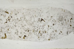 Plane Polarized, S67225