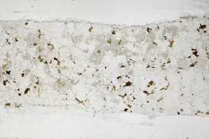 Plane Polarized, S67228