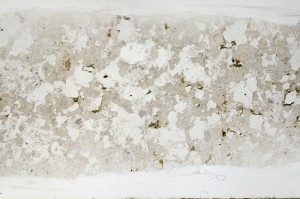 Plane Polarized, S67230