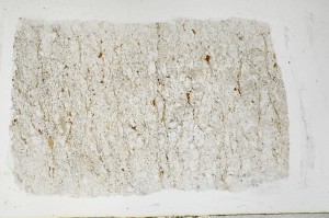 Plane Polarized, S67231