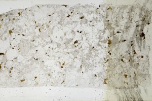 Plane Polarized, S67232