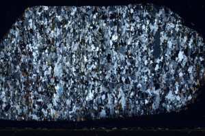 Cross Polarized, S67233