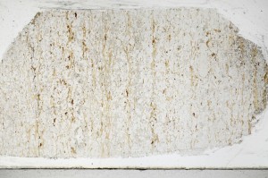 Plane Polarized, S67233