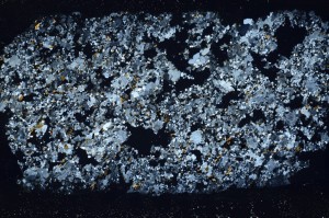 Cross Polarized, S67235