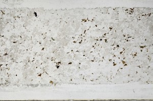 Plane Polarized, S67237