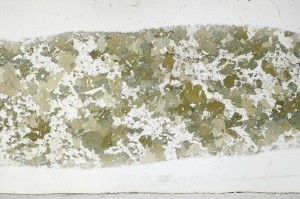 Plane Polarized, S67244