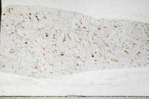 Plane Polarized, S67248