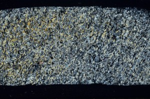 Cross Polarized, S67249/A