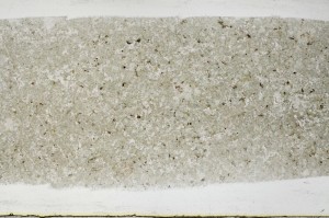 Plane Polarized, S67262