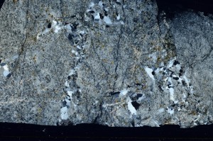 Cross Polarized, S67318