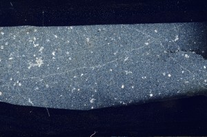 Cross Polarized, S67384