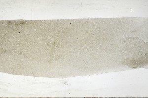 Plane Polarized, S67384