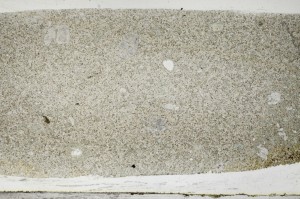 Plane Polarized, S67385