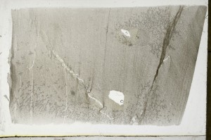Plane Polarized, S67387