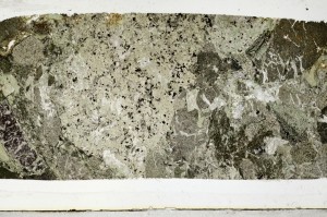 Plane Polarized, S67390