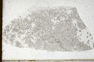 Plane Polarized, S67403
