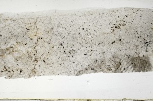 Plane Polarized, S67404