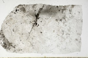 Plane Polarized, S67405