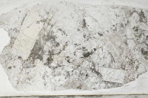 Plane Polarized, S67405/A