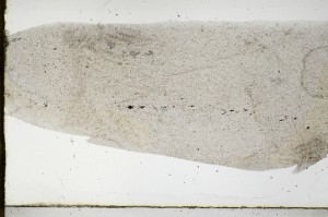 Plane Polarized, S67406