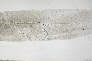 Plane Polarized, S67409