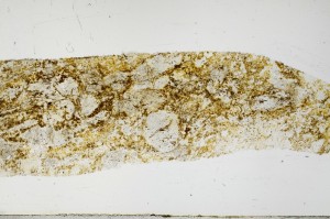 Plane Polarized, S67411