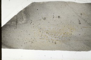 Plane Polarized, S67415