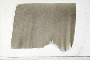 Plane Polarized, S67416