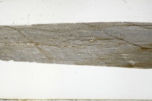 Plane Polarized, S67417