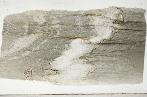 Plane Polarized, S67418