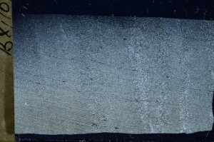 Cross Polarized, S67428