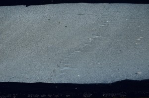 Cross Polarized, S67429