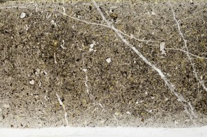 Plane Polarized, S67468