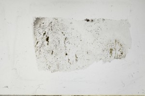 Plane Polarized, S67477/A
