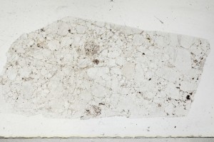 Plane Polarized, S67487
