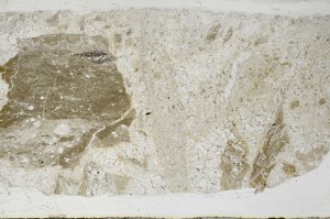 Plane Polarized, S67489