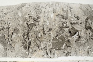 Plane Polarized, S67490