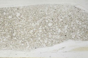 Plane Polarized, S67491