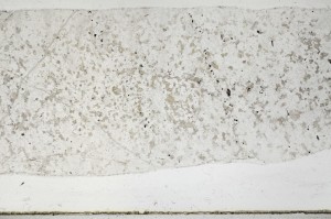 Plane Polarized, S67492